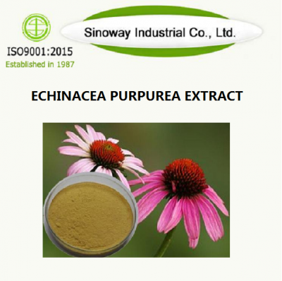 Echinacea Extract
