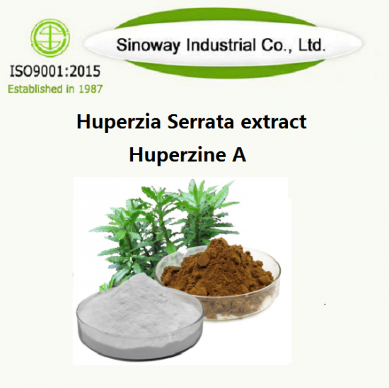 Huperzia Serrata extract